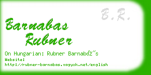 barnabas rubner business card